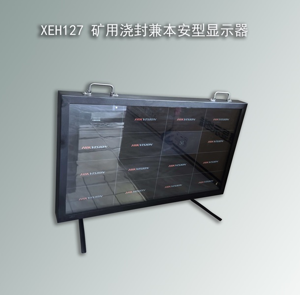 XEH127浇封兼本安型显示器，防爆显示器
