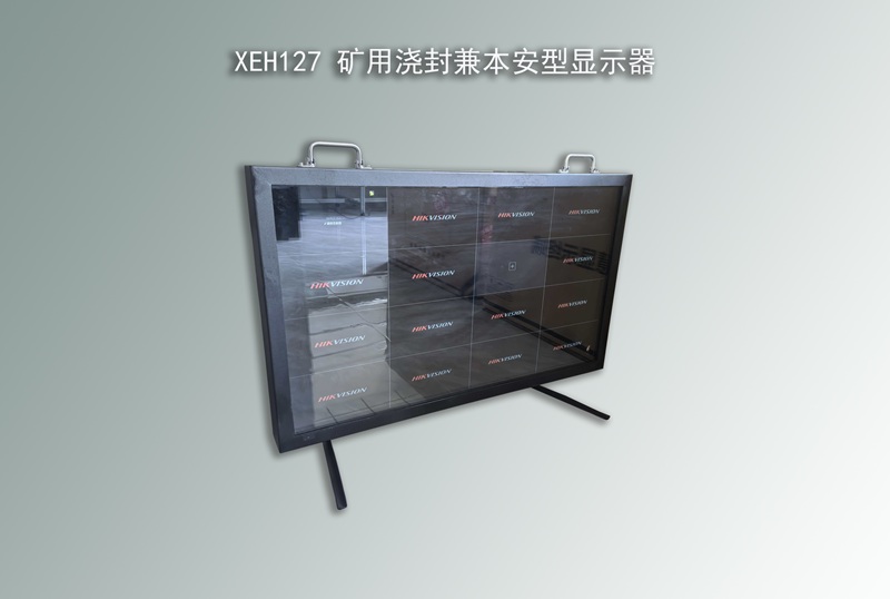 XEH127浇封兼本安型显示器 XEH127浇封兼本安型显示器