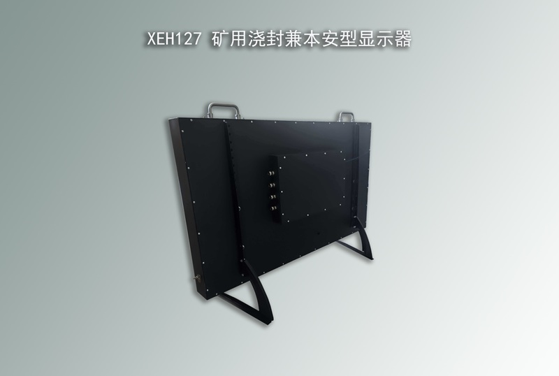 浇封兼本安型显示器 浇封兼本安型显示器